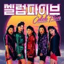 씨즌파이브 이미지