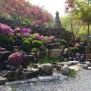 펜션 소풍 이미지