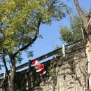 브라더찜닭 | 서늘해진 11월의 일기