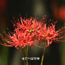 아름다운상사 이미지