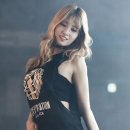 모모사 이미지