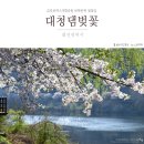 금강로하스 해피로드(2) | 금강로하스대청공원 벚꽃길 반짝이는 벚꽃산책