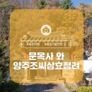 양주조씨 삼효 정려 | 세종시 전의면 여행 문목사와 양주조씨삼효정려