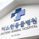 이스턴동물병원 네이버블로그