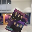 [강릉 공연] 강릉에서 즐기는 문화생활_플라워, 자우림 콘서트