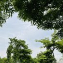 인더라인 25 이미지