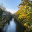 존재의 사랑 이미지