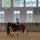 소노펠리체 승마클럽 이미지