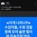 이게나라냐 이미지