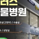 코아동물병원 이미지