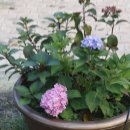 추풍령급수탑공원 화장실 이미지