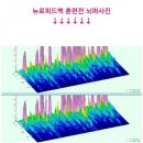 (주)뉴로아이 이미지
