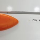 김호권의청년어부녹번역점 이미지