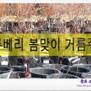 스타베리팜 이미지