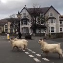 산양마을(주) 이미지