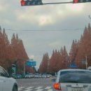 외동반림로248번길 이미지