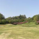 엠스클럽의성 이미지