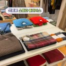 삿포로 스텔라 플레이스 할인쿠폰 받는 곳 단톤 SHIRO 쇼핑리스트 정보