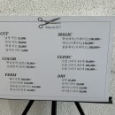살롱 드 내 : 처음부터 끝까지 이미지