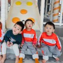 좋은열매 어린이집 이미지