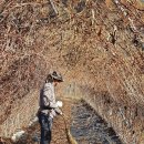 효산농장 이미지