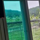 홍인농장 | 10박11일간의 힐링!