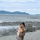 (주)선재해림풀빌라 | 서울 근교 오션뷰 애견동반 풀빌라 추천｜선재해림풀빌라 아라101 숙박 후기