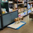 유앤동물의료센터 이미지