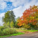 대둔산 호텔 이미지