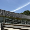 악양 평사리길 이미지