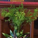 성현동-22 이미지