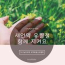 구약과 신약의 차이. 신약이란? 구약이란? 이미지