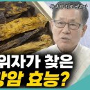 셀타민