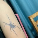 놀타투 | 알리 타투 스티커 후기