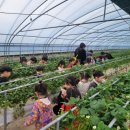 소촌어린이집 이미지