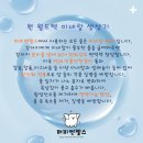 퍼피엔젤스 이미지