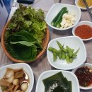 나토얀 | 덕계 평산동 나토얀 바다장어...