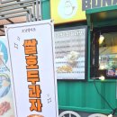 보납젤라또 이미지