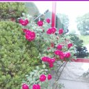 금강온천 이미지