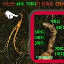 천보산농장 이미지