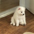 &lt;마산 카페&gt; 상남동 케이크스튜디오356