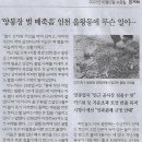 나라아트센터 이미지