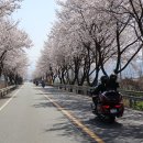 참한우농장 Daum카페