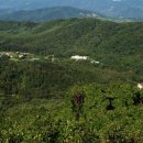 신세계무도장 이미지