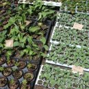 안흥종묘사 이미지