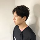머리가이