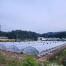 백호공인중개사사무소 이미지