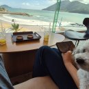 32 | 경남 남해 애견동반 카페 '남해라운지32' 후기 - 시원하게 펼쳐진 바다 보며 강아지와 여유 타임