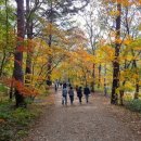 황금빛 민박 이미지