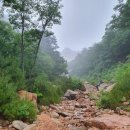 연봉1교(하) | 설악산 필례1교 우능 (1094봉 능선)